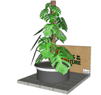 龟背竹盆栽SU模型下载_sketchup草图大师SKP模型