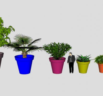 大小盆栽植物SU模型下载_sketchup草图大师SKP模型
