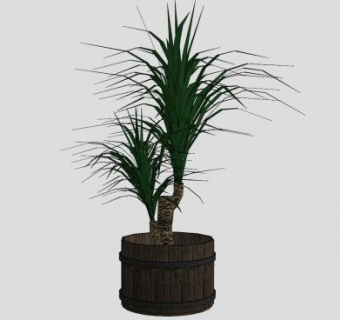 荷兰铁木盆栽SU模型下载_sketchup草图大师SKP模型