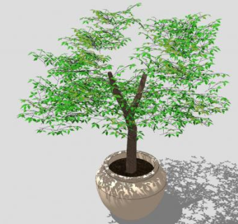 陶瓷盆栽观赏树SU模型下载_sketchup草图大师SKP模型