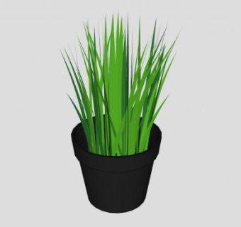 黑色盆栽观赏草SU模型下载_sketchup草图大师SKP模型