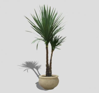 龙血树盆栽SU模型下载_sketchup草图大师SKP模型