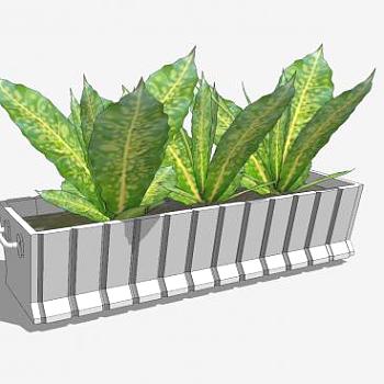 花箱盆栽植物系列SU模型下载_sketchup草图大师SKP模型