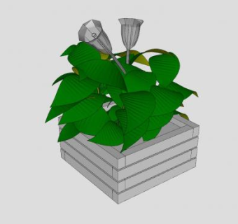 木箱盆栽SU模型下载_sketchup草图大师SKP模型