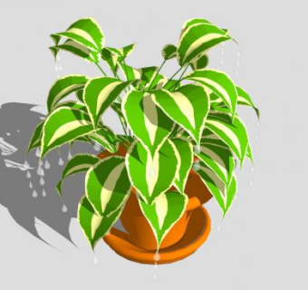 大型盆栽植物SU模型下载_sketchup草图大师SKP模型