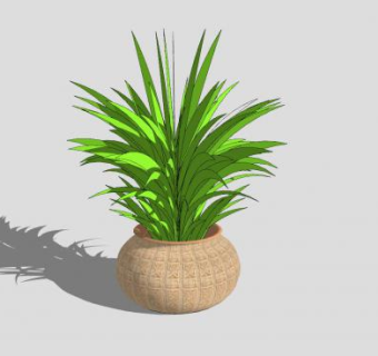 盆栽装饰SU模型下载_sketchup草图大师SKP模型