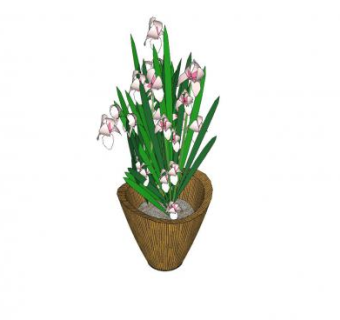木花盆观赏植物SU模型下载_sketchup草图大师SKP模型