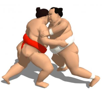 相扑手比赛SU模型下载_sketchup草图大师SKP模型