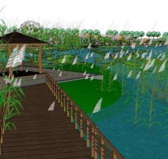 湿地SU模型下载_sketchup草图大师SKP模型