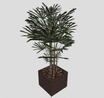 观景树盆栽SU模型下载_sketchup草图大师SKP模型