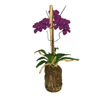 禅意花瓶花卉SU模型下载_sketchup草图大师SKP模型