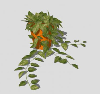 喜林芋盆栽SU模型下载_sketchup草图大师SKP模型