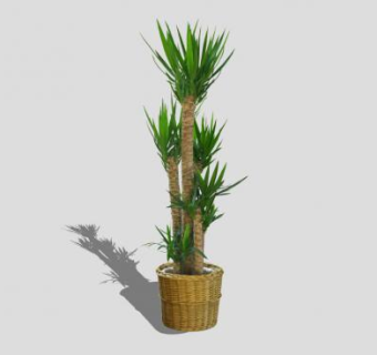 象脚丝兰盆栽SU模型下载_sketchup草图大师SKP模型