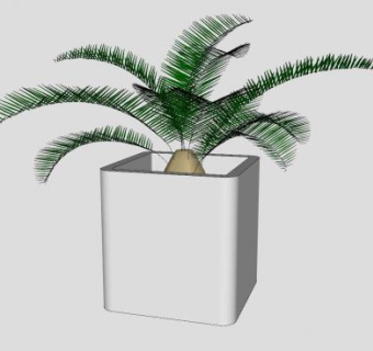 盆栽装饰植物SU模型下载_sketchup草图大师SKP模型