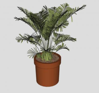 槟榔树盆栽SU模型下载_sketchup草图大师SKP模型