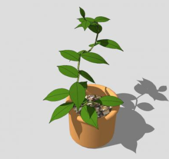 绿叶盆栽SU模型下载_sketchup草图大师SKP模型