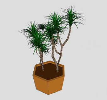 六角盆栽植物SU模型下载_sketchup草图大师SKP模型
