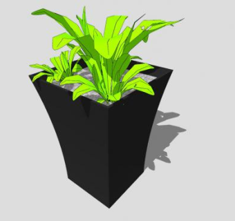 蕨类植物黑色盆栽SU模型下载_sketchup草图大师SKP模型