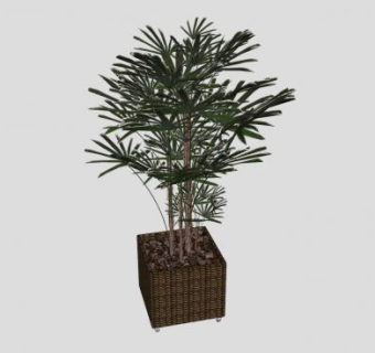 编织盆栽棕榈树SU模型下载_sketchup草图大师SKP模型