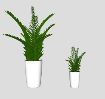蕨类盆栽植物装饰SU模型下载_sketchup草图大师SKP模型