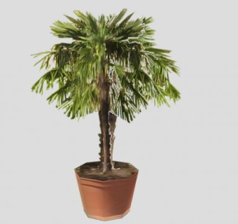 3D棕榈树盆栽SU模型下载_sketchup草图大师SKP模型