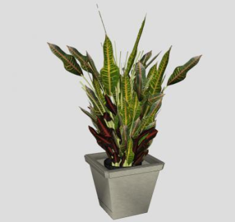 室内植物盆景sketchup模型下载_sketchup草图大师SKP模型