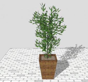 观赏树盆景摆件SU模型下载_sketchup草图大师SKP模型