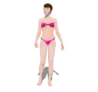 现代粉色泳装女人SU模型下载_sketchup草图大师SKP模型
