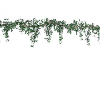 挂藤su模型下载_sketchup草图大师SKP模型