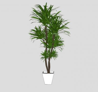 棕榈树方形盆栽SU模型下载_sketchup草图大师SKP模型