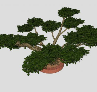 盆景树SU模型下载_sketchup草图大师SKP模型