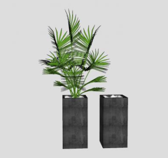 射叶棕榈盆栽SU模型下载_sketchup草图大师SKP模型