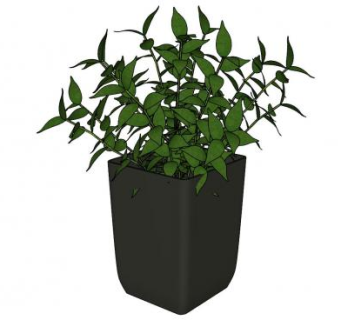 黑盆栽植物SU模型下载_sketchup草图大师SKP模型
