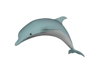 现代海豚动物SU模型下载_sketchup草图大师SKP模型