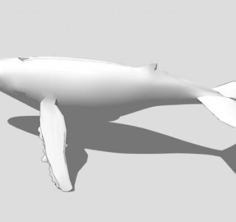 现代鲸鱼动物SU模型下载_sketchup草图大师SKP模型