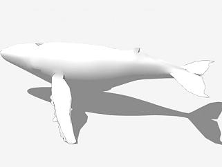 现代<em>鲸鱼</em>动物SU模型下载_sketchup草图大师SKP模型