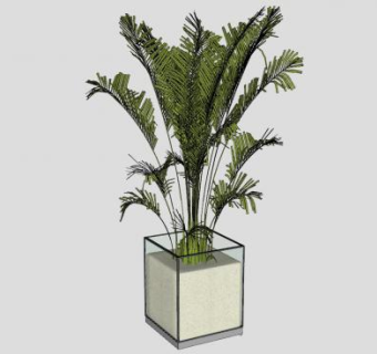 现代玻璃盆栽SU模型下载_sketchup草图大师SKP模型