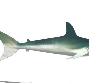 现代鲨鱼SU模型下载_sketchup草图大师SKP模型