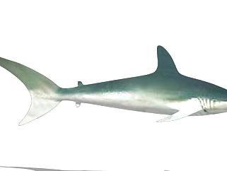 现代<em>鲨鱼</em>SU模型下载_sketchup草图大师SKP模型