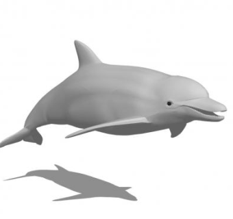 现代海豚SU模型下载_sketchup草图大师SKP模型