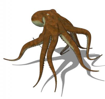 八爪章鱼SU模型下载_sketchup草图大师SKP模型