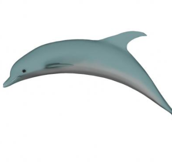 宽吻海豚SU模型下载_sketchup草图大师SKP模型