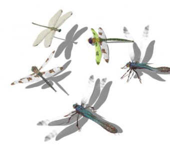 现代蜻蜓SU模型下载_sketchup草图大师SKP模型