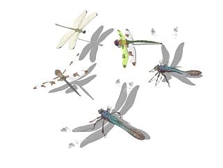 现代<em>蜻蜓</em>SU模型下载_sketchup草图大师SKP模型