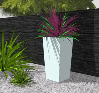 丝兰花盆栽SU模型下载_sketchup草图大师SKP模型