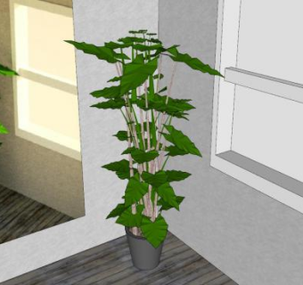 室内落地盆栽SU模型下载_sketchup草图大师SKP模型