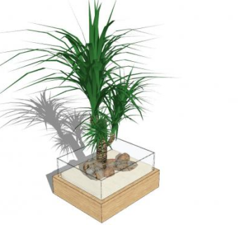 荷兰铁盆栽SU模型下载_sketchup草图大师SKP模型