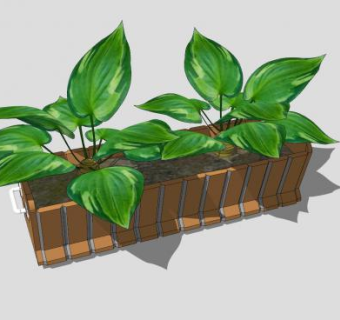 大叶植物花箱SU模型下载_sketchup草图大师SKP模型