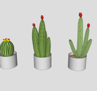 仙人掌盆栽装饰SU模型下载_sketchup草图大师SKP模型