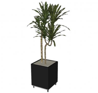 黑色盆栽荷兰铁SU模型下载_sketchup草图大师SKP模型